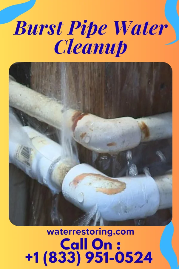 Burst Pipe Water Cleanup in Ashland, OH