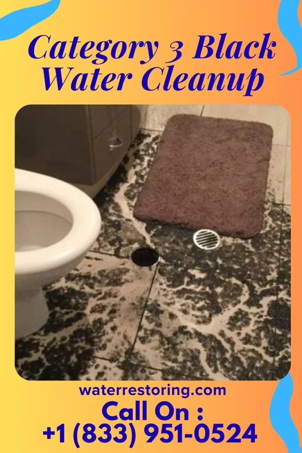 Category 3 Black Water Cleanup in Ashland, OH