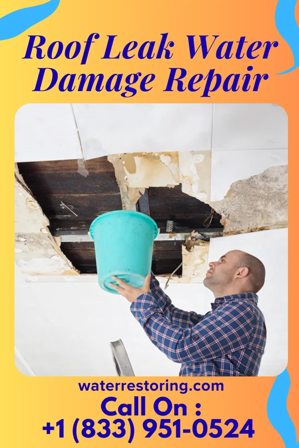 Roof Leak Water Damage Repair in Ashland, OH