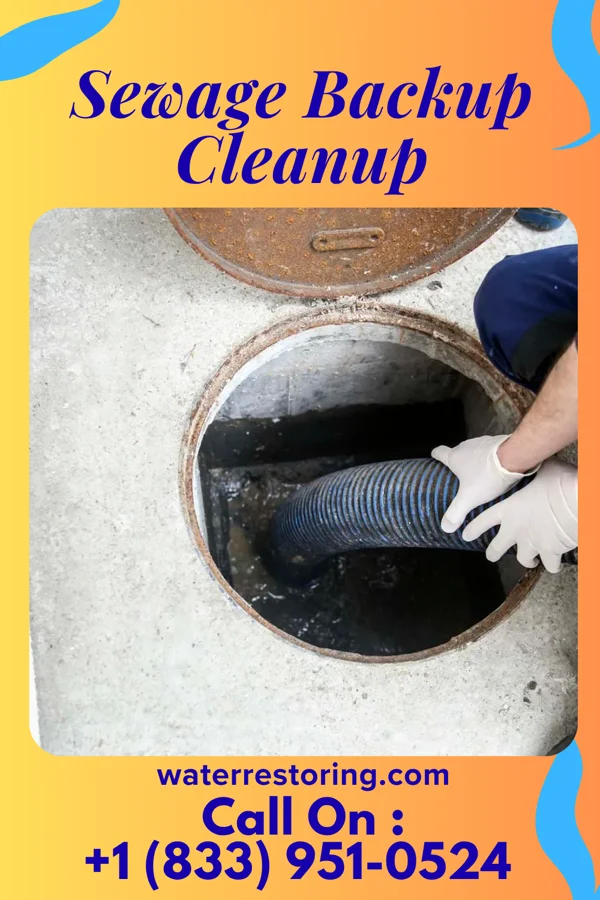 Sewage Backup Cleanup in Ashland, OH