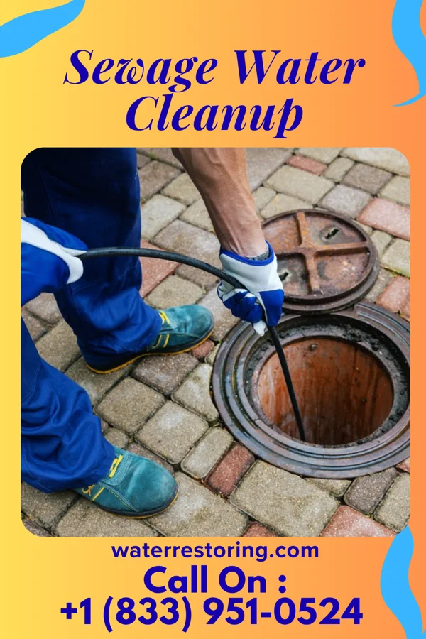 Sewage Water Cleanup in Ashland, OH