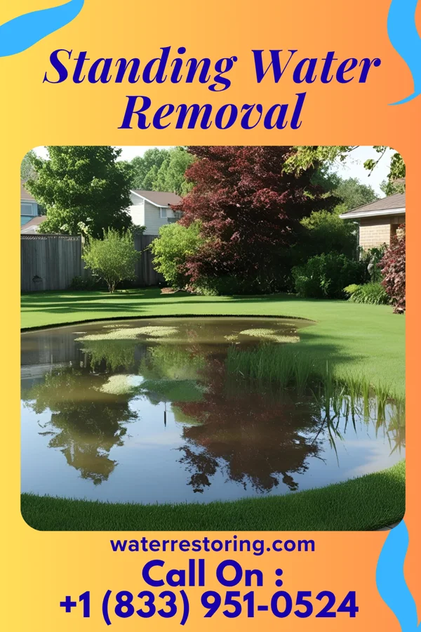 Standing Water Removal in Ashland, OH
